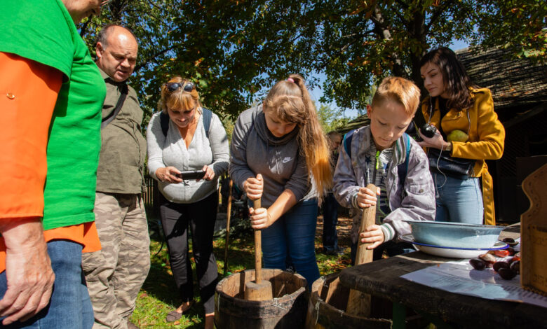 dzień kartofla w skansenie