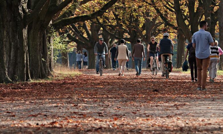fot.pixabay.com