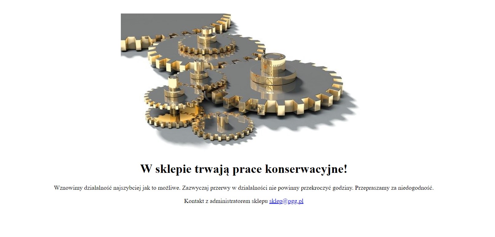 SKLEP PGG awaria