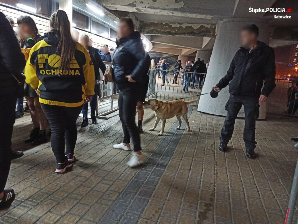 Mayday w katowickim Spodku/fot.Śląska Policja