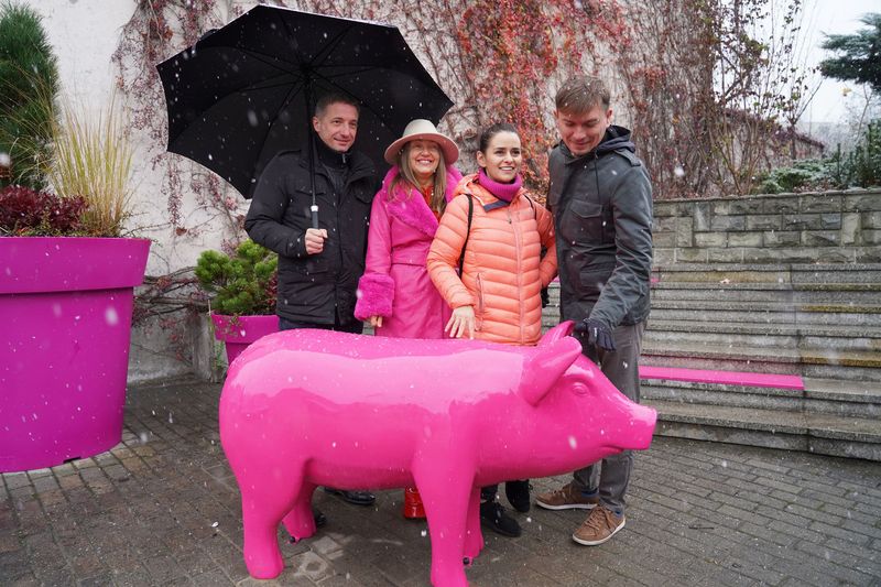 W Rybniku postawili różową świnię. Reklamuje festiwal kabaretowy. Fot. UM Rybnik