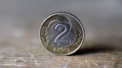 VAT, 500+, prawo karne, prawo pracy. Jakie zmiany w 2023 roku?/fot.pixabay.com