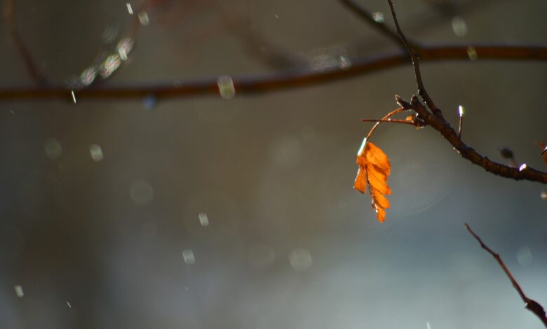 Prognoza pogody na Sylwestra i Nowy Rok/fot.pixabay.com