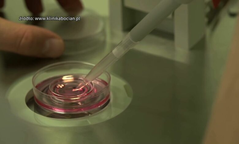 W Częstochowie rusza program in vitro