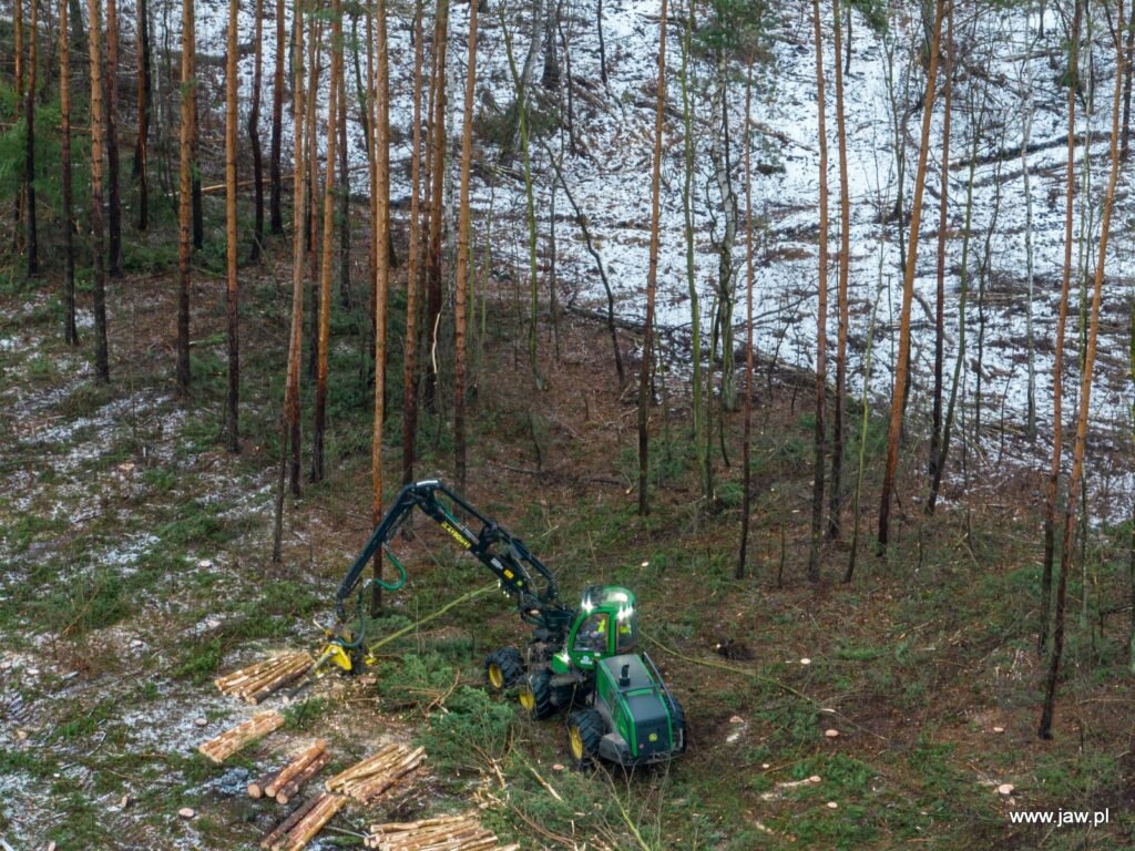 Rozpoczęła się wycinka Fot. Jaw.pl