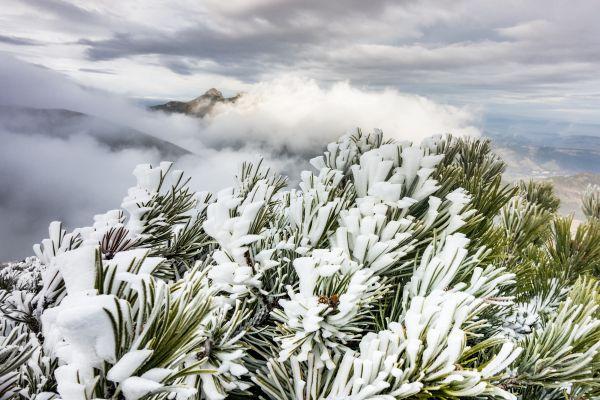 Uwaga! Tatry zamknięte dla turystów