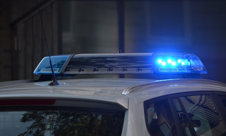 Brat postrzelił siostrę. Skąd 14-latek miał broń?/fot.pixabay.com