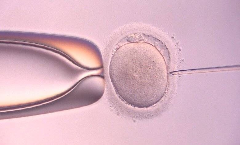 Tychy będą finansować zabiegi in vitro