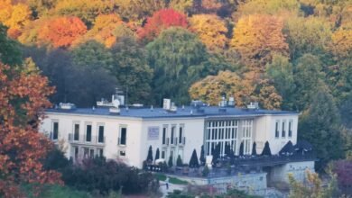 restauracja browar przystań w parku ślaskim otwarta