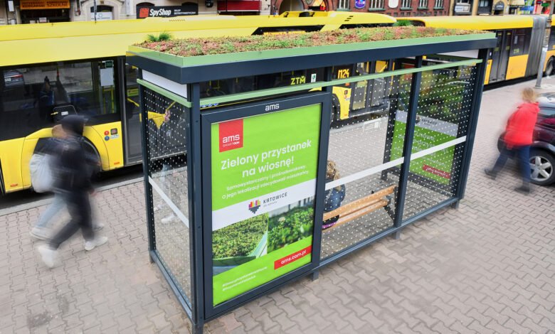 W Katowicach powstał zielony przystanek. Będą kolejne. Fot. UM Katowice