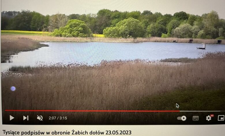 Żabie Doły rezerwatem?