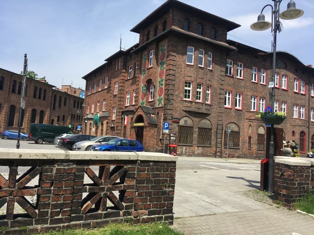 Srebrne Katowice: Na kilka głosów z De Silvers/fot.TVS