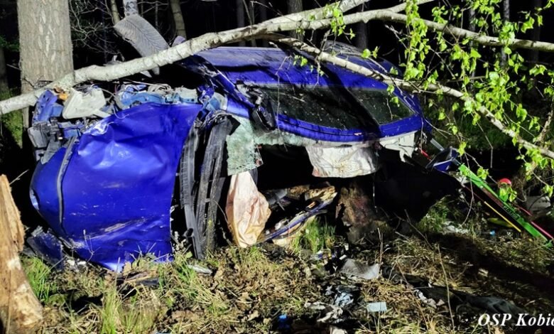 Tragiczny wypadek na DK1 na granicy Kobióra i Tychów/fot.112 Tychy Tyskie Służby Ratownicze/OSP Kobiór
