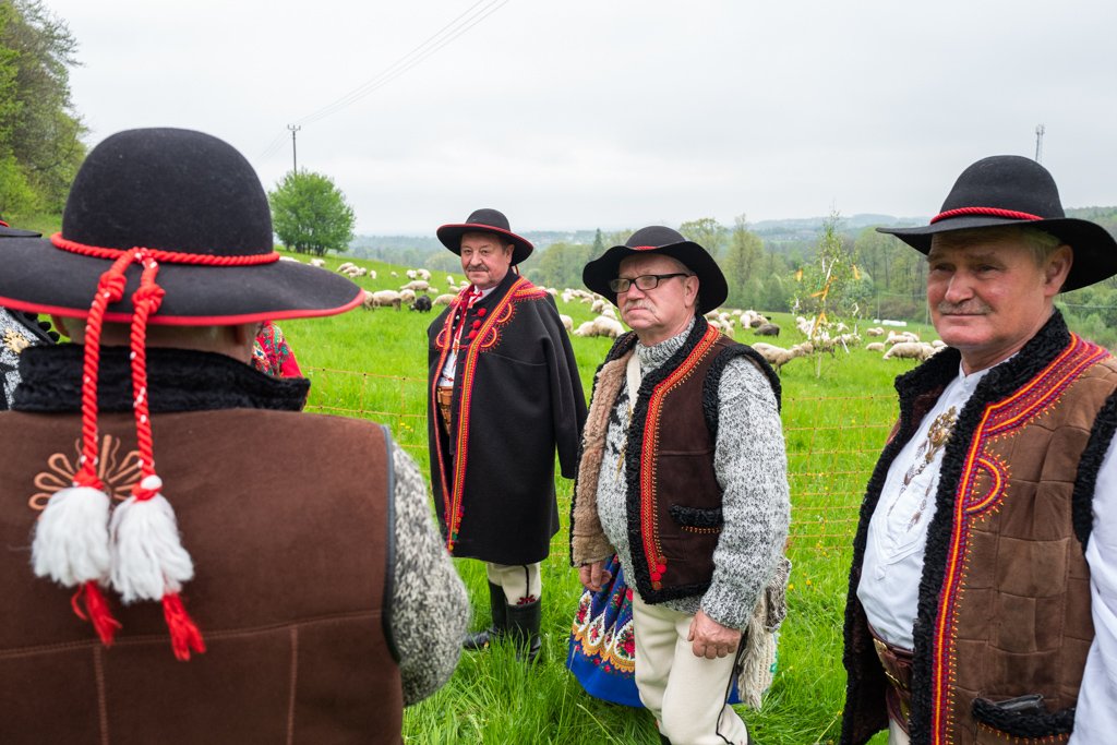 Redyk na Buczu. Zobaczcie zdjęcia