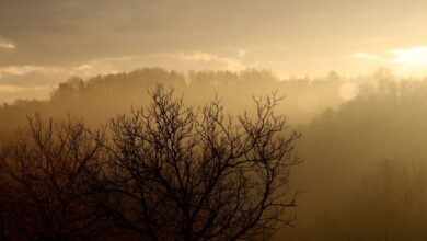 Smog: nawet jeden dzień spędzony w zanieczyszczonym powietrzu może być groźny dla zdrowia. Dramatycznie w Żywcu/fot.pixabay.com