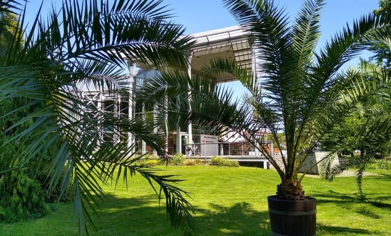 Gliwice: Palmiarnia zamknięta/fot.UM Gliwice