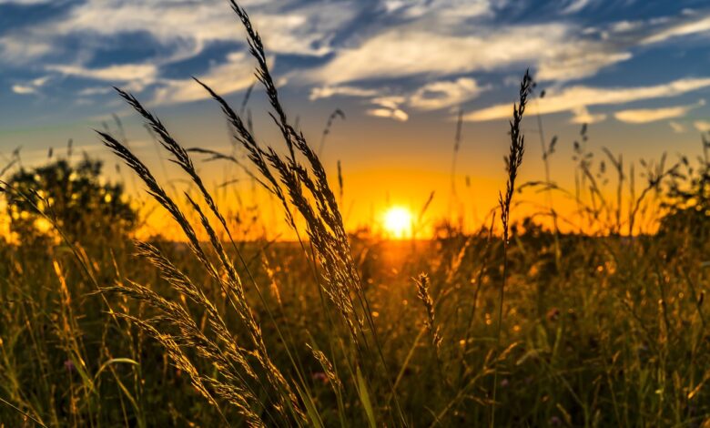 Żar będzie się lał z nieba. Prognoza pogody na najbliższe dni/fot.pixabay.com