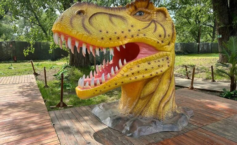Charytatywny wyścig Dinozaurów wystartuje w Europie Centralnej (fot, mat. prasowe)