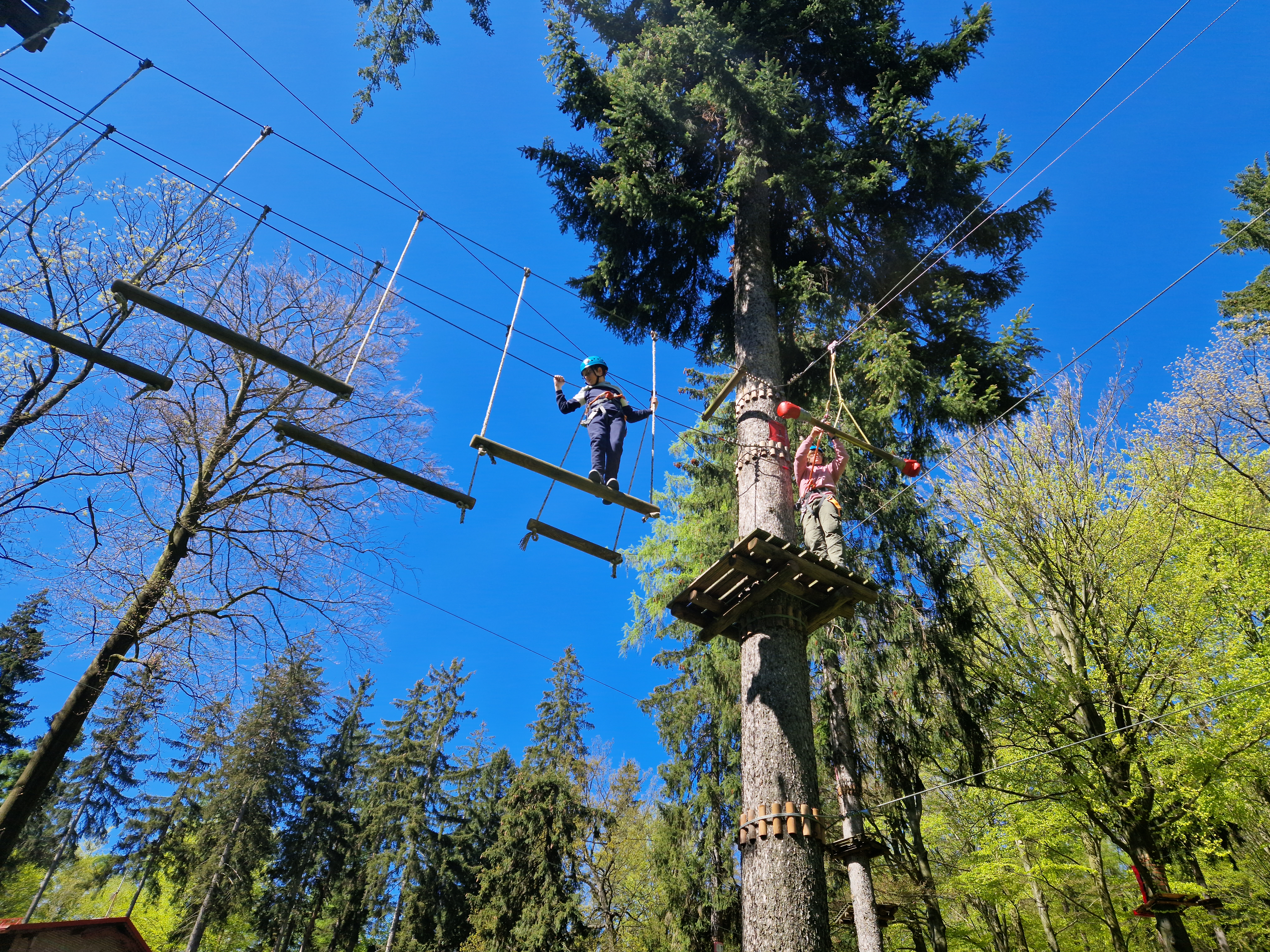 Park Linowy w Jedlinie-Zdroju