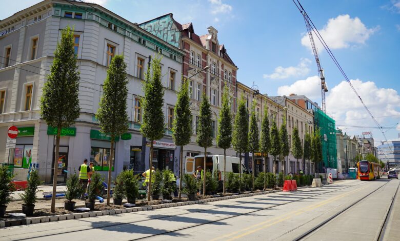 Katowice: Zieleń wchodzi do miasta/fot.UM Katowice