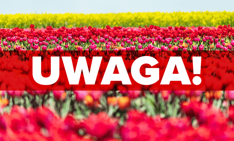 program moja woda 2023