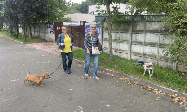 Aktywny senior. Srebrny Chorzów: Z miłości do zwierząt