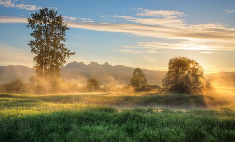 Kolejne dni chłodniejsze. Prognoza pogody/fot.pixabay.com