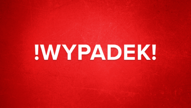 pociąg uderzył w drzewo