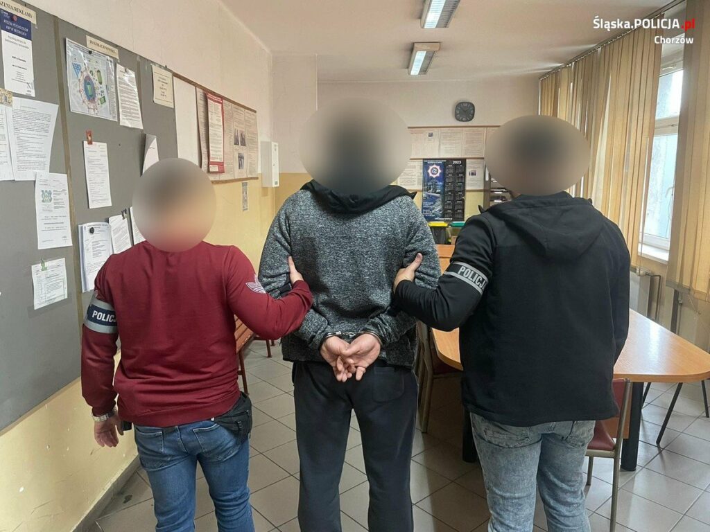 Ukradł swojej byłej partnerce figurki... z komiksów. Fot. Policja Śląska