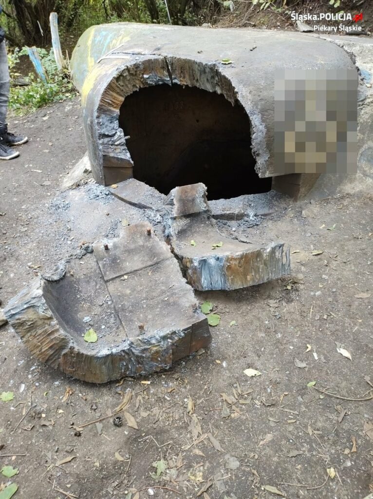 fot.Śląska Policja