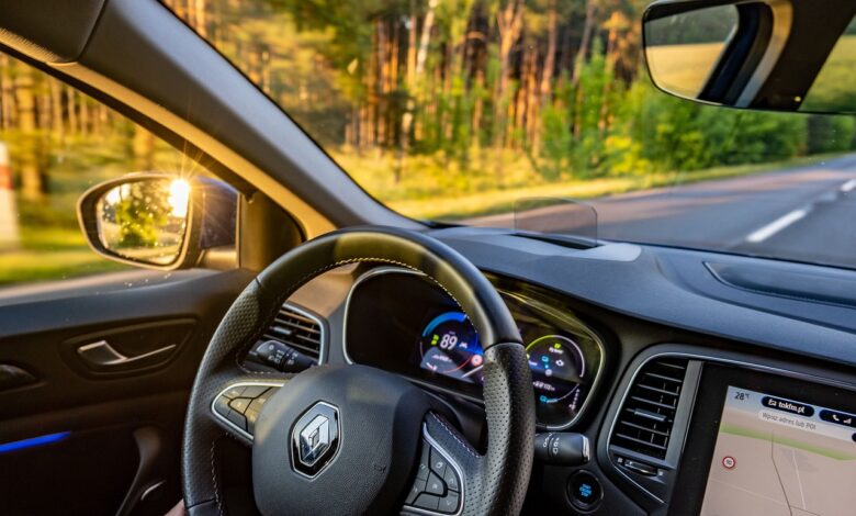 265 punktów karnych dla kierowcy renault/fot.pixabay.com