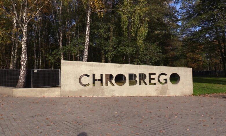 Gliwice: Ogród świateł w Parku Chrobrego. To nie podoba się mieszkańcom