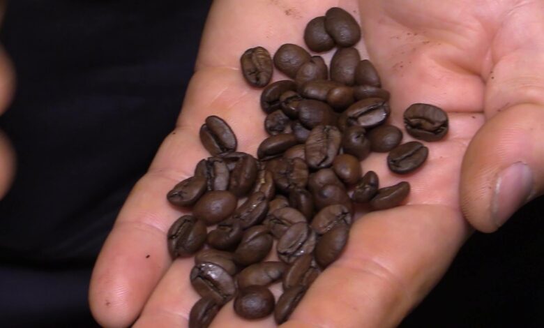 Espresso, Latte, czy Cappuccino? Trwają Targi Kawy