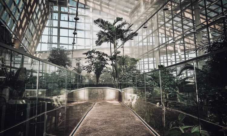 Sosnowiec: 2 grudnia otworzą Egzotarium/fot.UM Sosnowiec