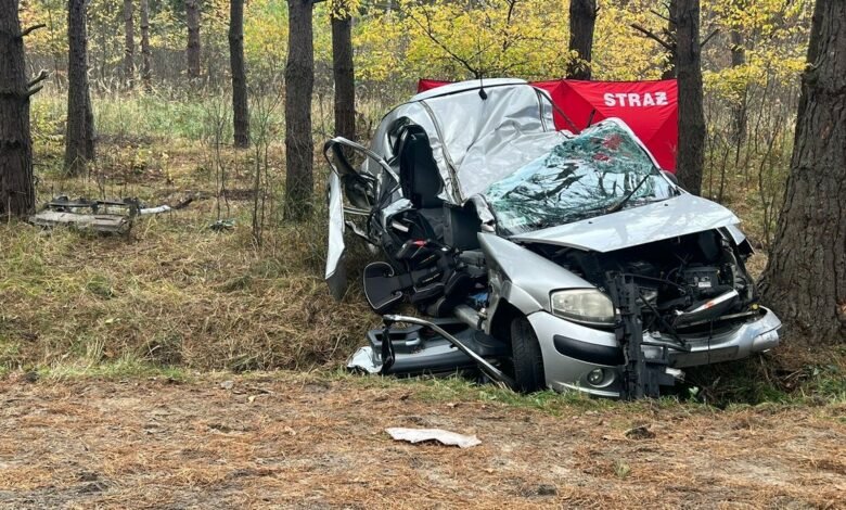 19-latka uderzyła w drzewo. Nie żyje/fot.Policja Podkarpacka