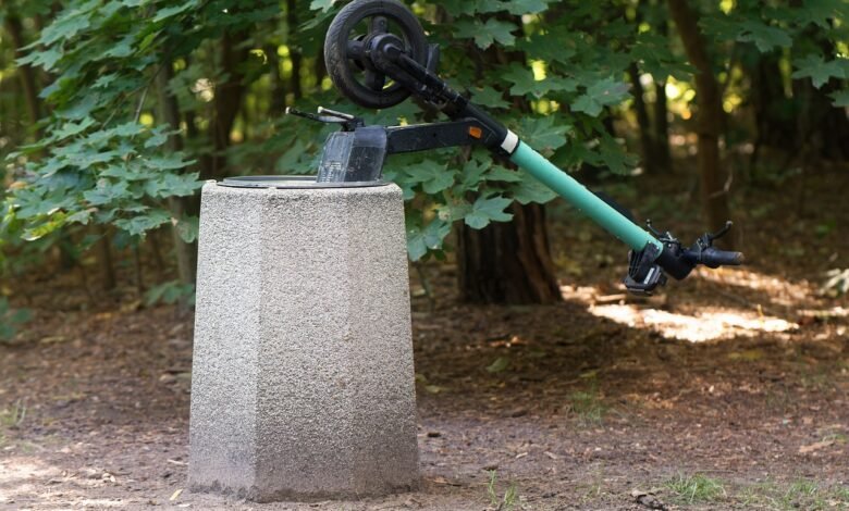 Obowiązkowe OC dla elektrycznych hulajnóg?/fot.pixabay.com