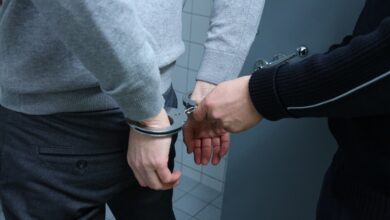 Policja zatrzymała sprawcę brutalnego ataku na 12-latkę/fot.pixabay.com