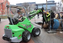 Katowice: Wymiana kasztanowców na Stawowej. Te nie spełniają wymogów/fot.UM Katowice