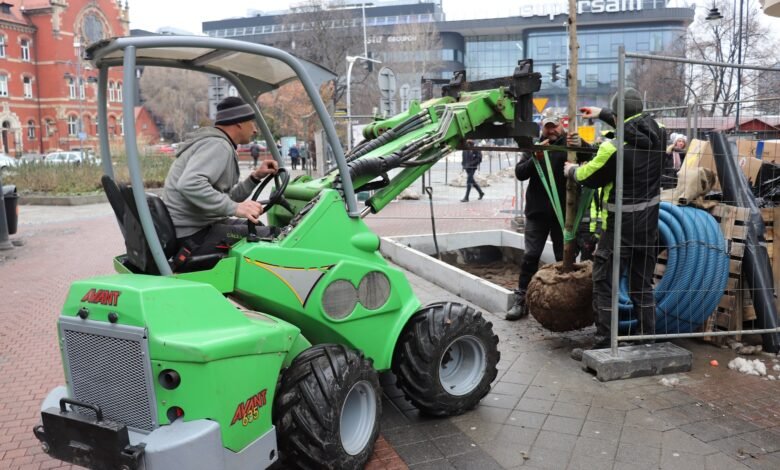 Katowice: Wymiana kasztanowców na Stawowej. Te nie spełniają wymogów/fot.UM Katowice