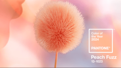 Kolor roku 2024 Peach Fuzz Pantone