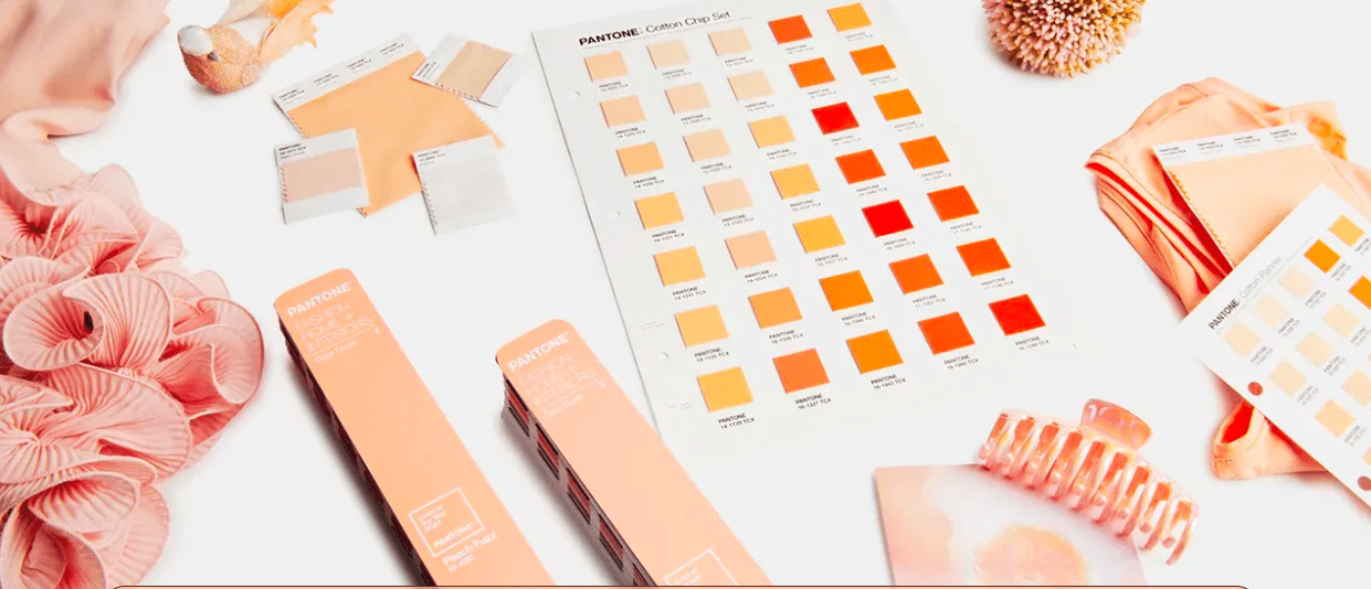Peach Fuzz Kolor roku 2024 Pantone