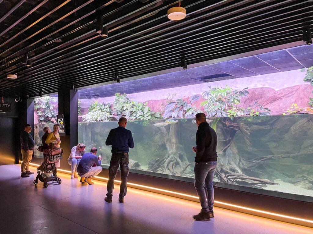 W Egzotarium nie brakuje akwariów.