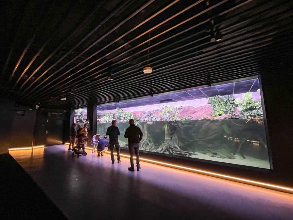 W Egzotarium nie brakuje akwariów.