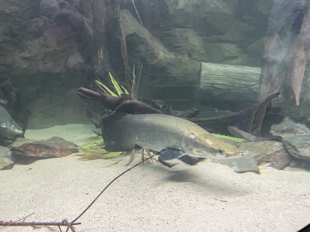 W Egzotarium nie brakuje akwariów.