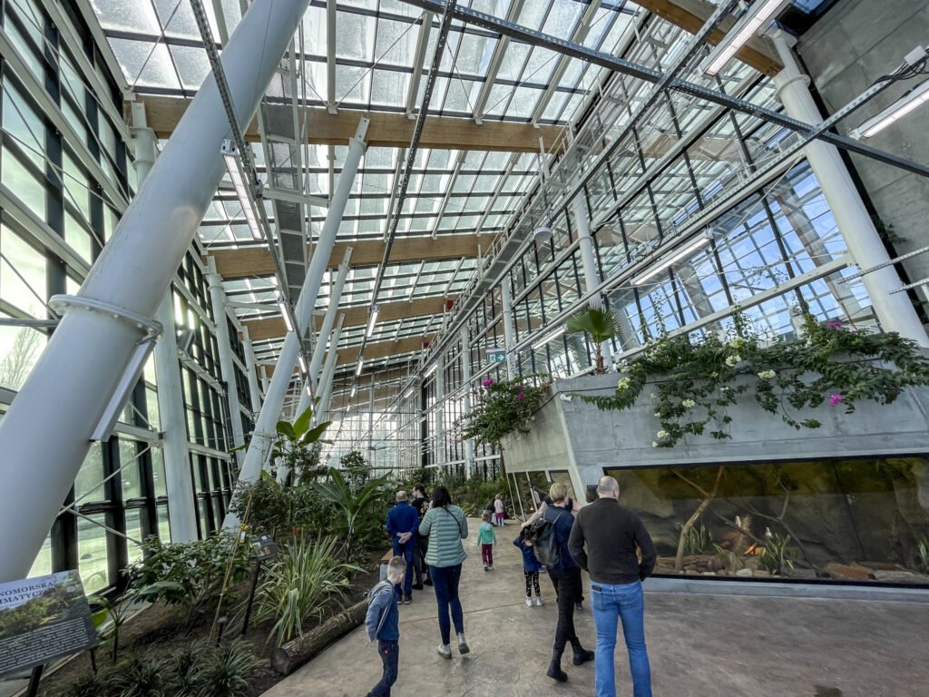 Egzotarium w Sosnowcu. Zdjęcia. Oprócz zwierząt w Egzotarium można zobaczyć także dużo roślin.