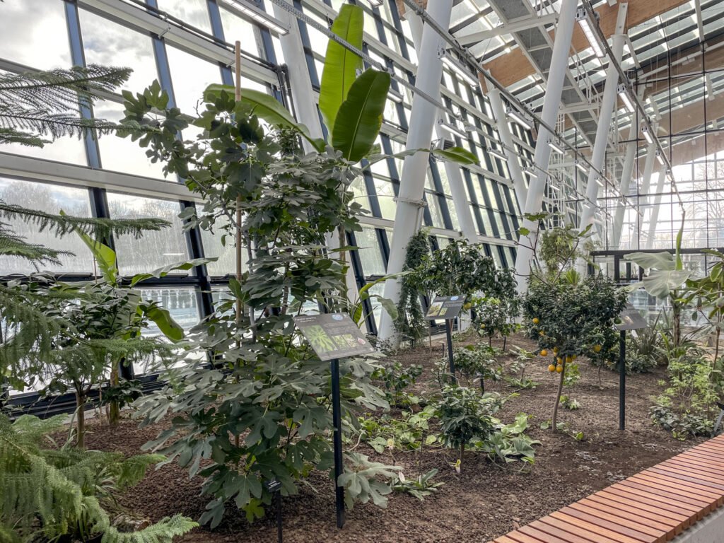 Egzotarium w Sosnowcu. Zdjęcia. Oprócz zwierząt w Egzotarium można zobaczyć także dużo roślin.