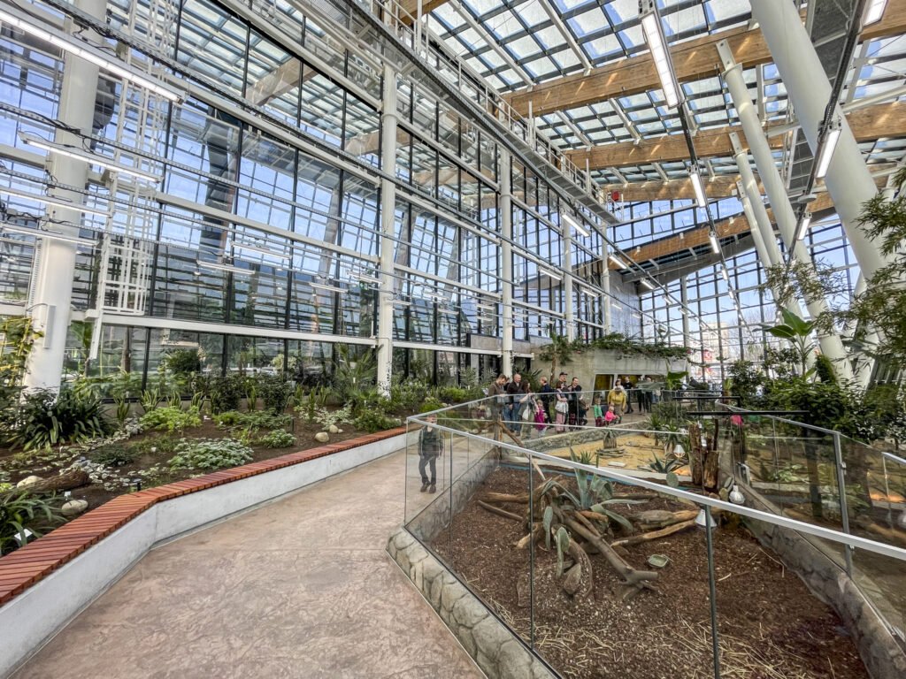 Egzotarium w Sosnowcu. Zdjęcia. Oprócz zwierząt w Egzotarium można zobaczyć także dużo roślin.