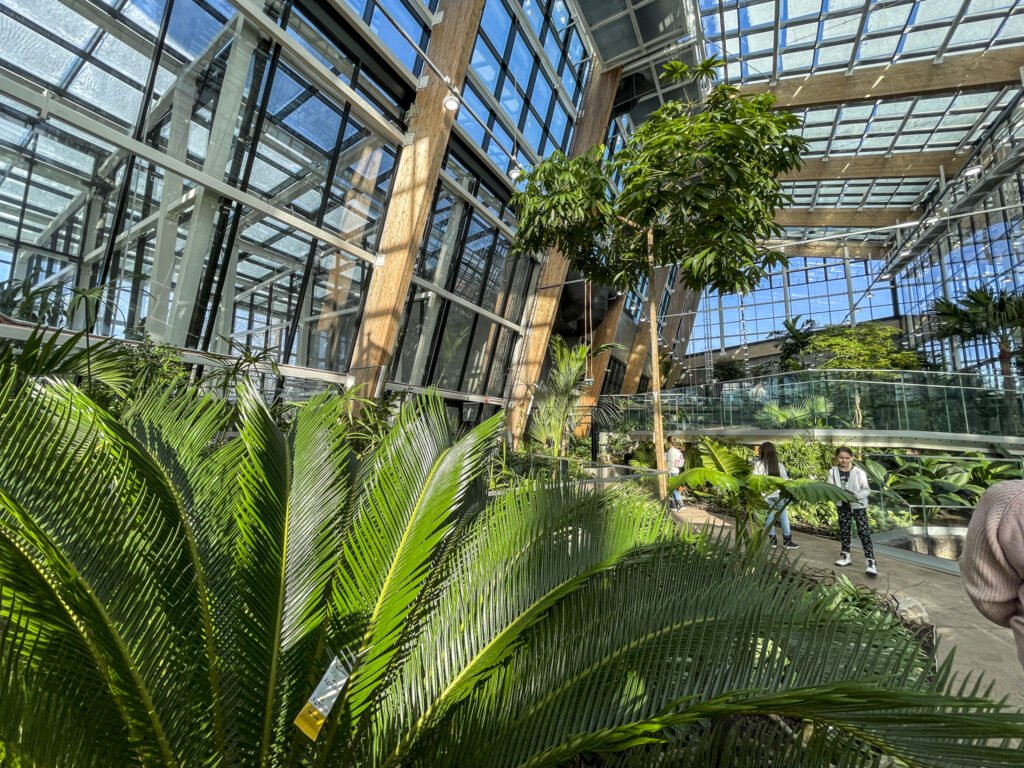 Egzotarium w Sosnowcu. Zdjęcia. Oprócz zwierząt w Egzotarium można zobaczyć także dużo roślin.