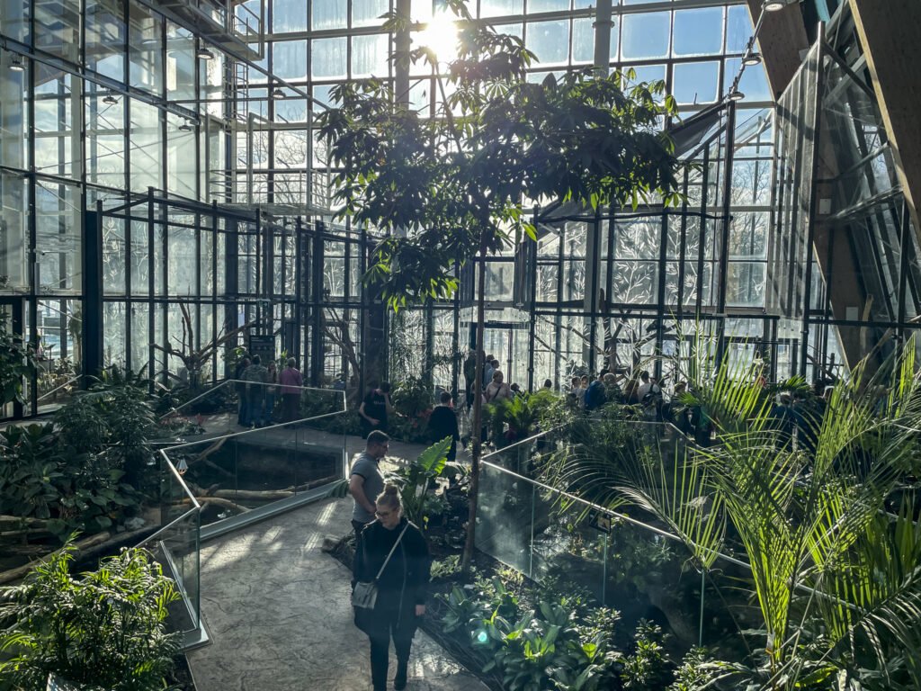 Egzotarium w Sosnowcu. Zdjęcia. Oprócz zwierząt w Egzotarium można zobaczyć także dużo roślin.