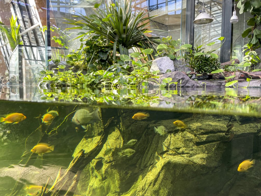 Egzotarium w Sosnowcu. Zdjęcia. W Egzotarium nie brakuje akwariów.